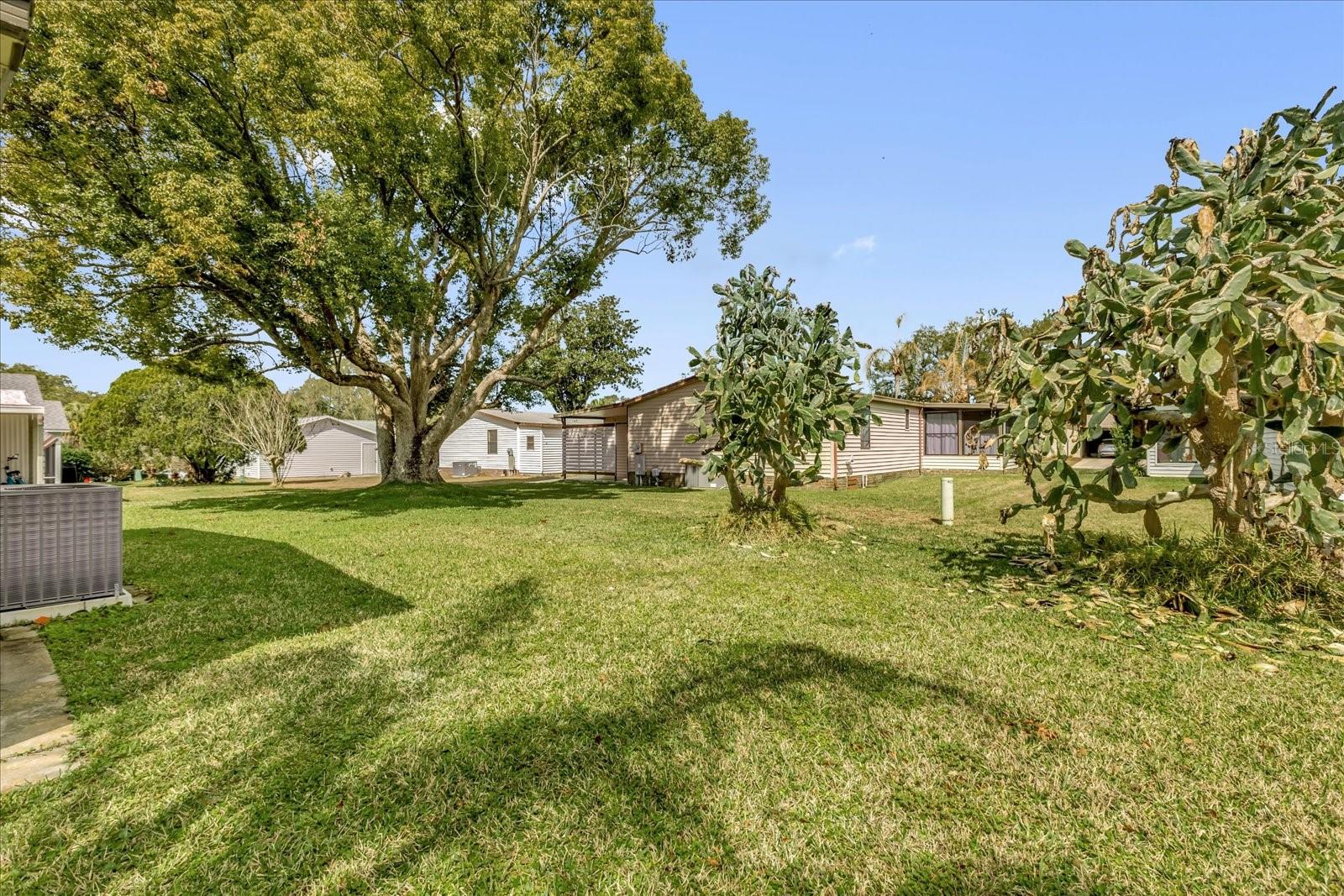 Image 25 of 35 For 1229 Dustin Drive