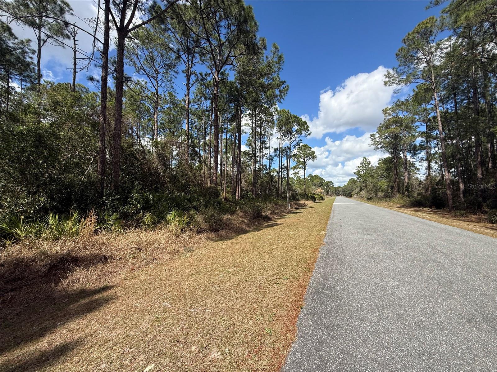 Image 11 of 13 For Cashew Street