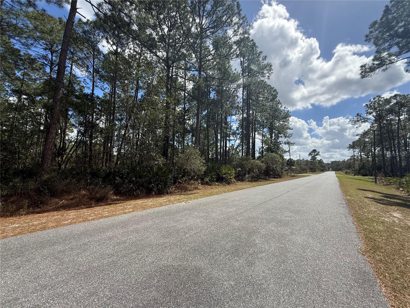 Image 12 of 13 For Cashew Street