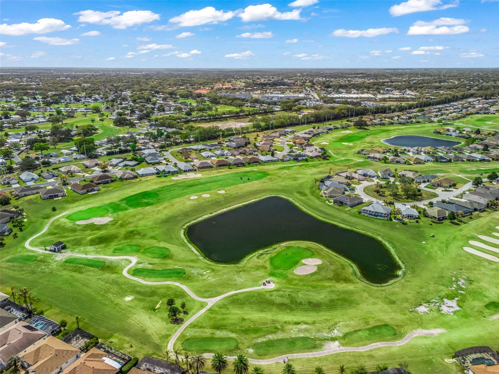 Image 43 of 67 For 12420 176th Loop