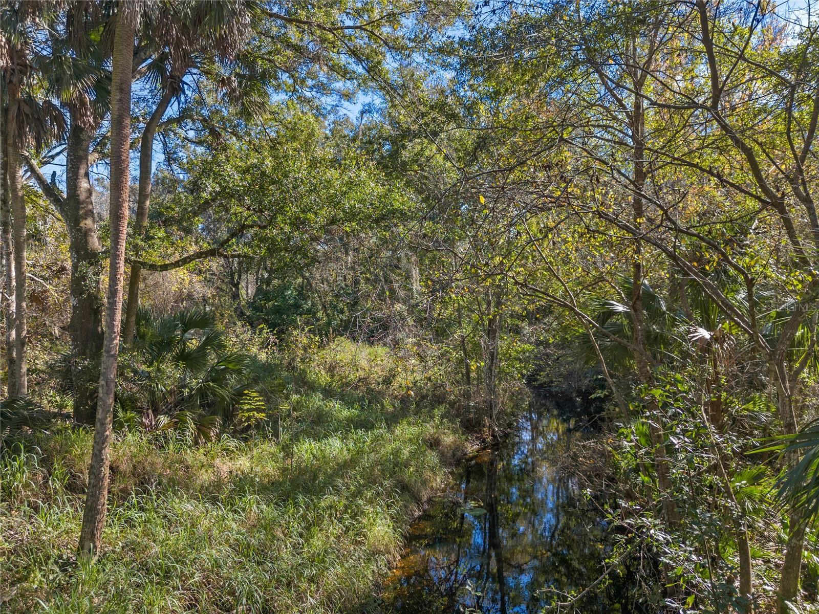 Image 4 of 6 For 13524 Corkwood Lane