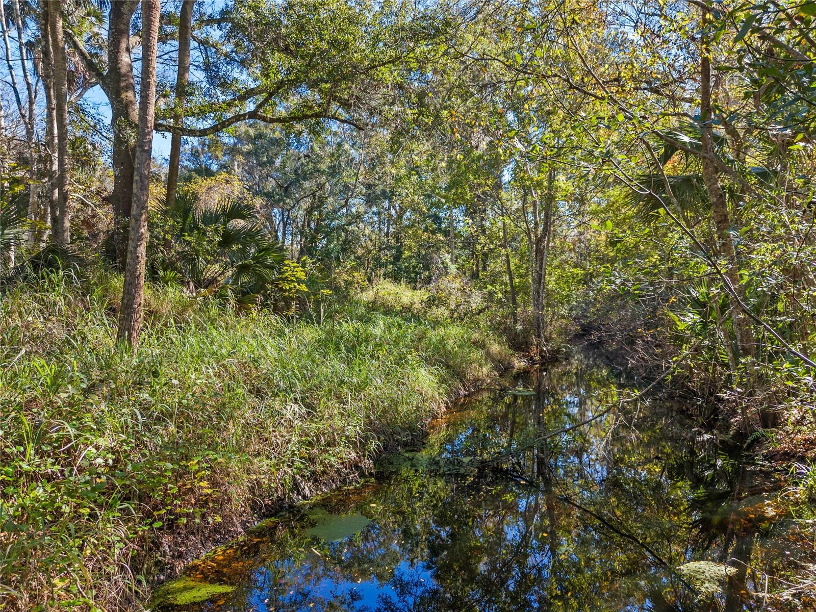 Image 5 of 6 For 13524 Corkwood Lane