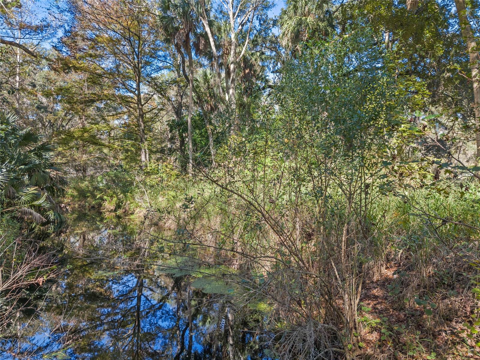 Image 6 of 6 For 13524 Corkwood Lane