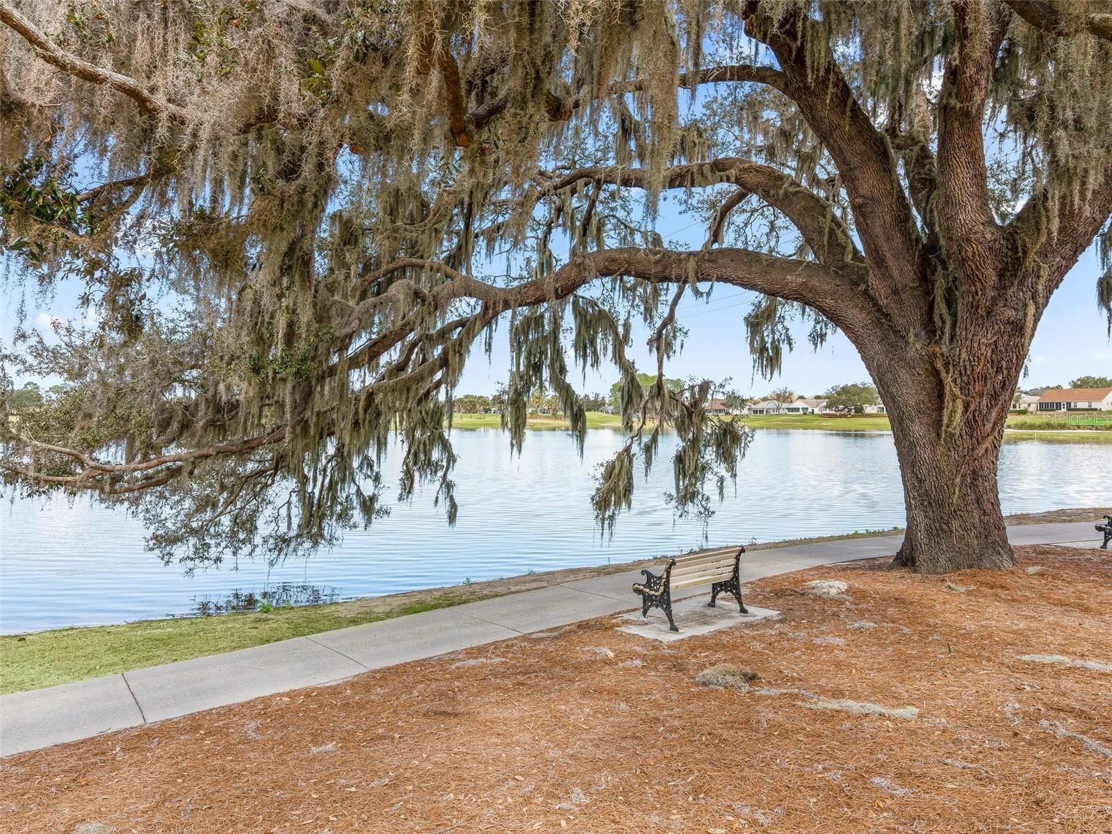 Image 48 of 57 For 1311 Carolina Court