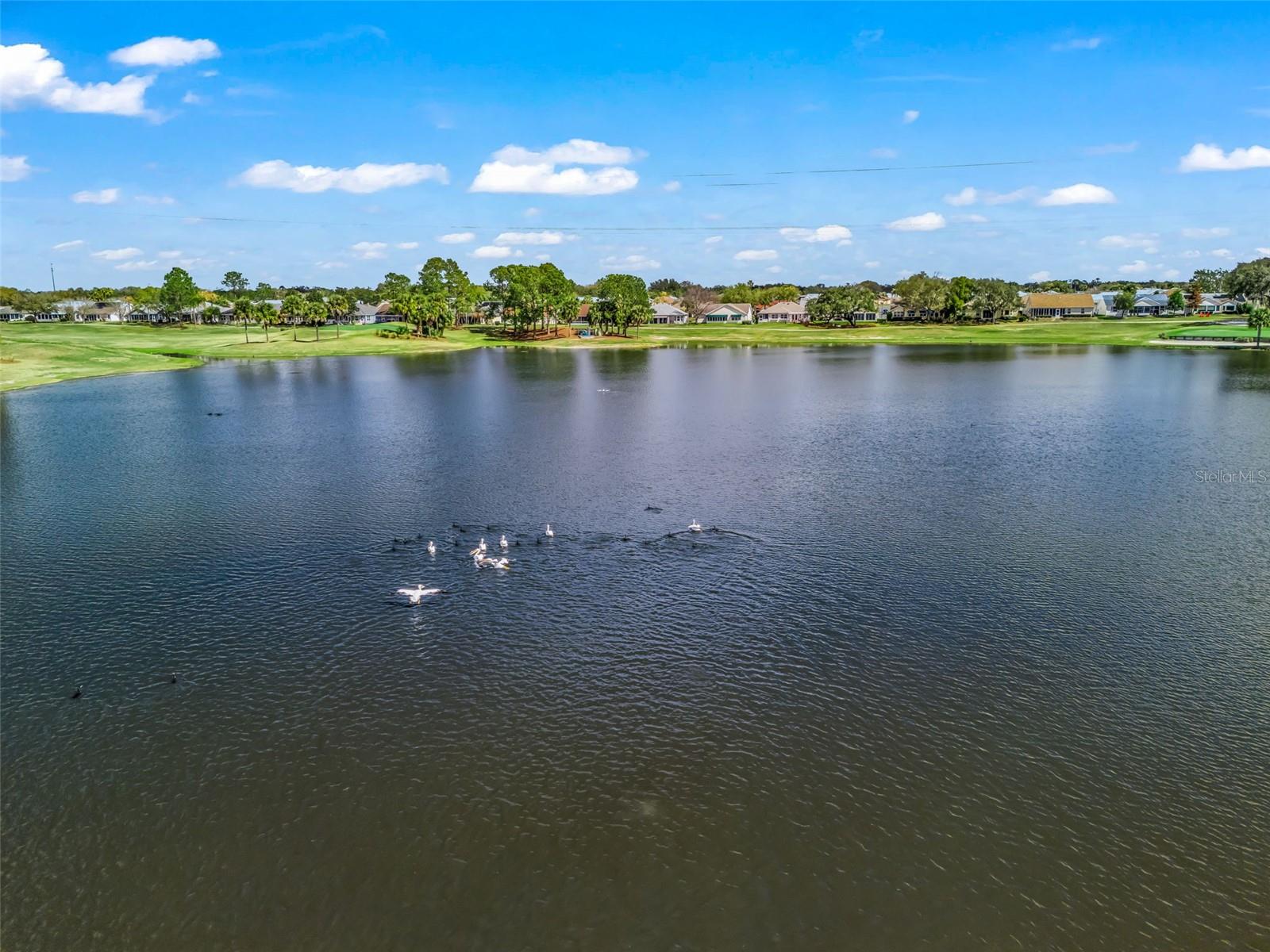 Image 49 of 57 For 1311 Carolina Court