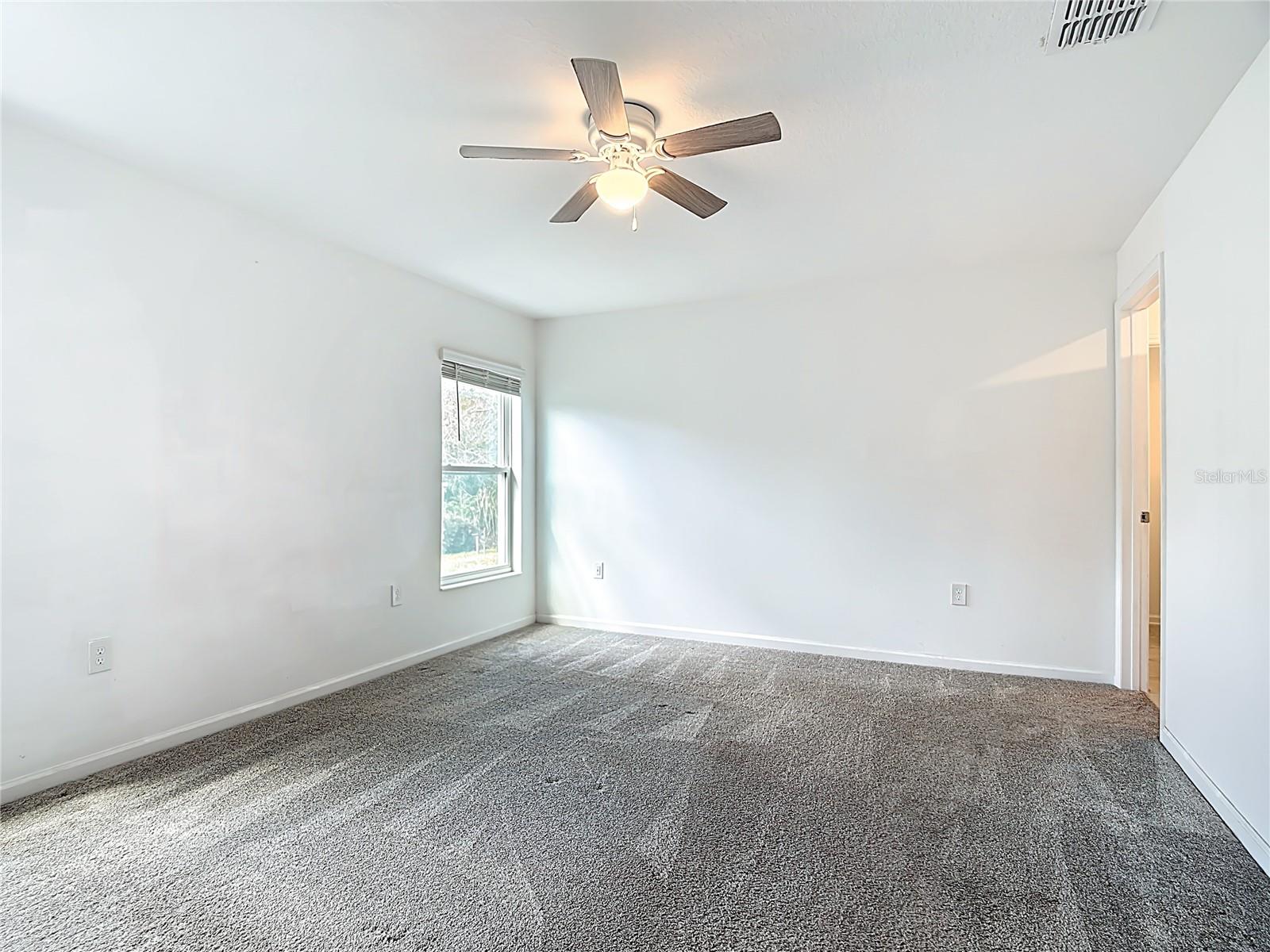 Image 26 of 49 For 441 Macarthur Street