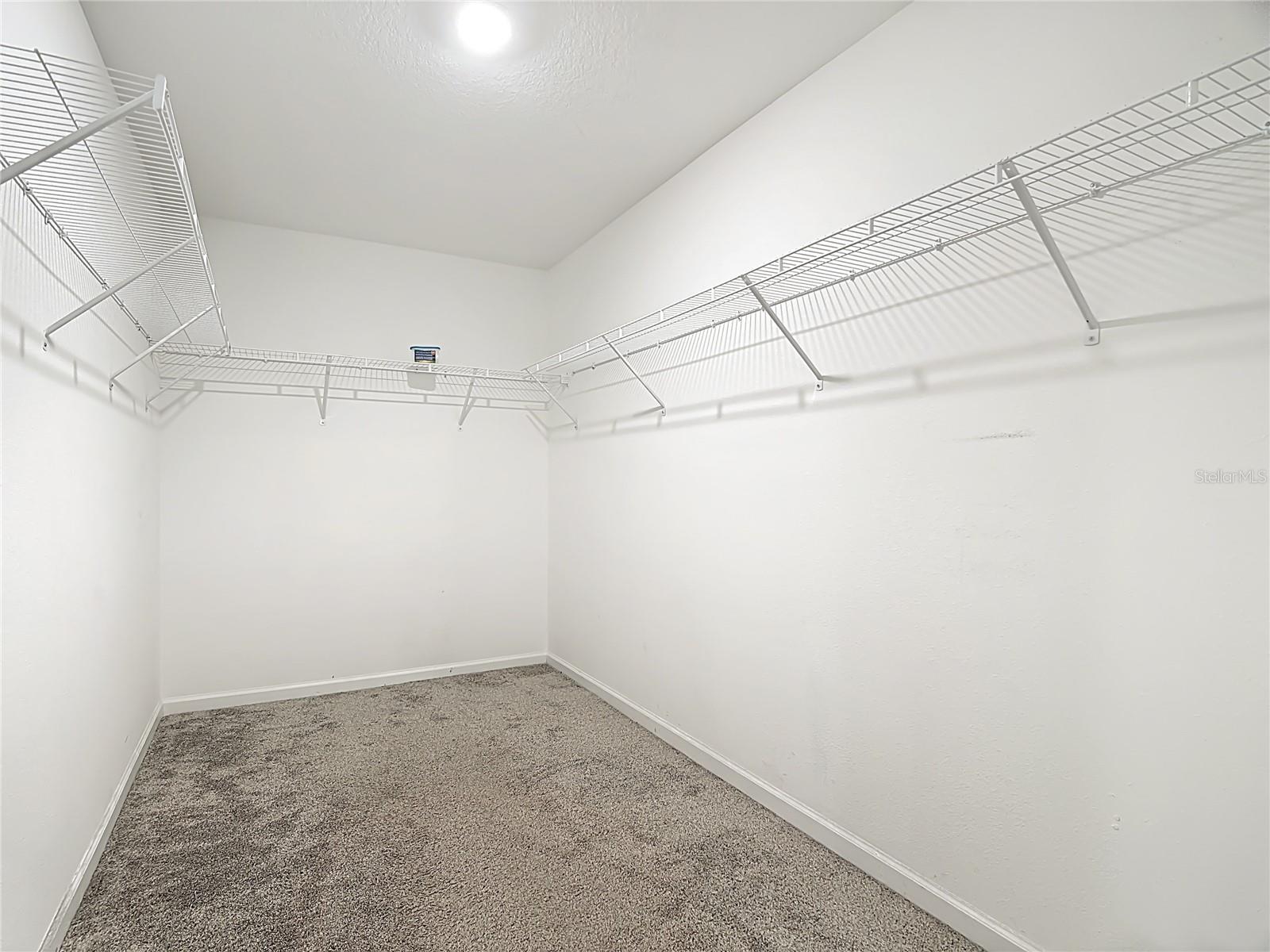 Image 31 of 49 For 441 Macarthur Street