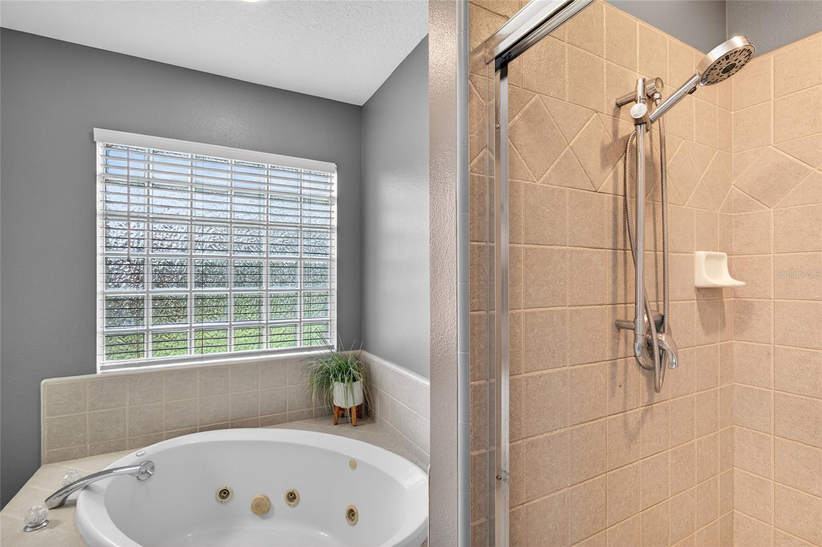 Image 22 of 90 For 22301 Coronado Somerset Drive