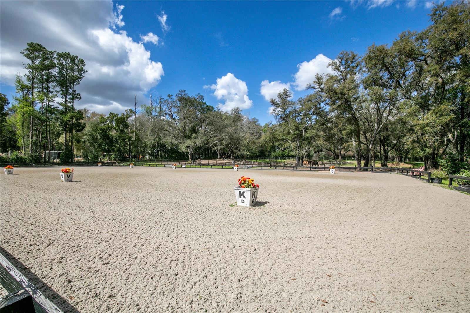 Image 58 of 90 For 22301 Coronado Somerset Drive