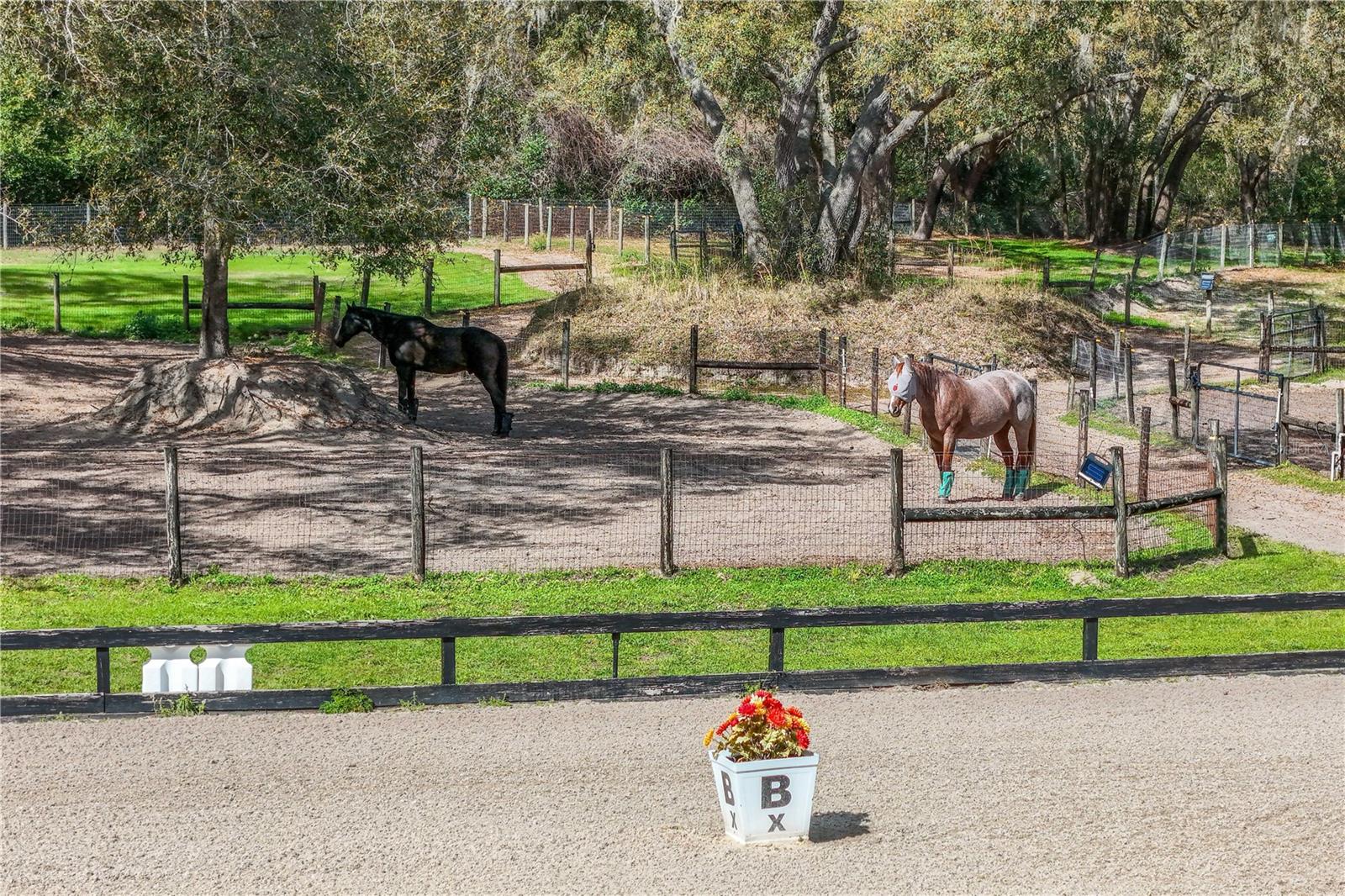 Image 61 of 90 For 22301 Coronado Somerset Drive