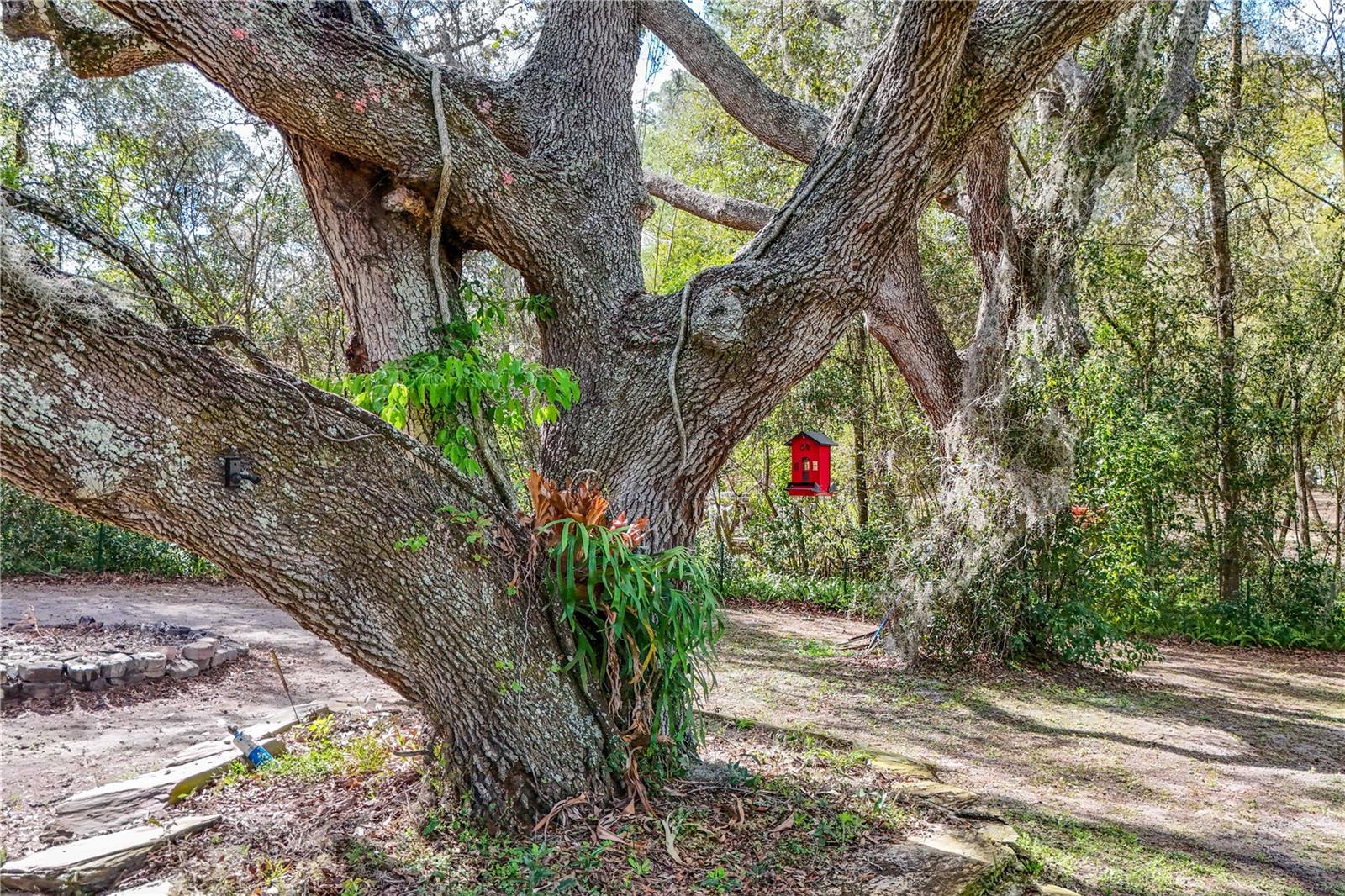 Image 65 of 90 For 22301 Coronado Somerset Drive