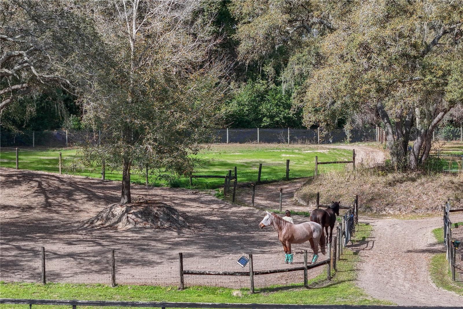 Image 66 of 90 For 22301 Coronado Somerset Drive
