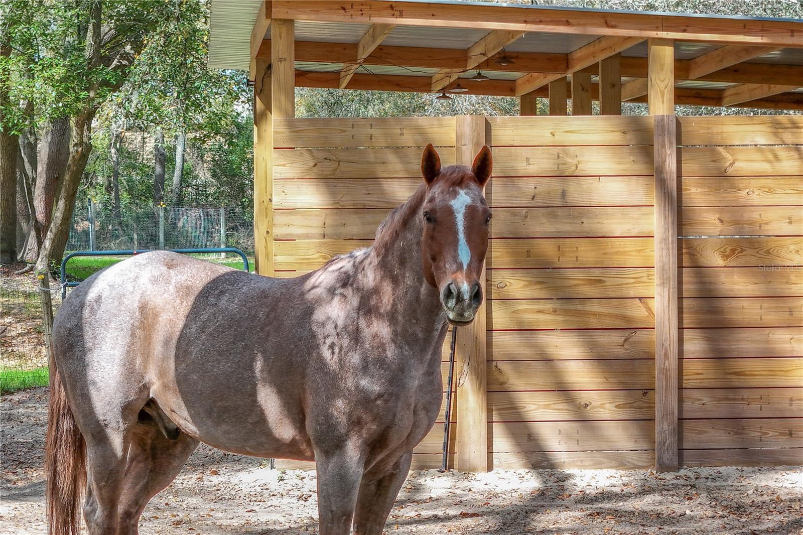 Image 67 of 90 For 22301 Coronado Somerset Drive
