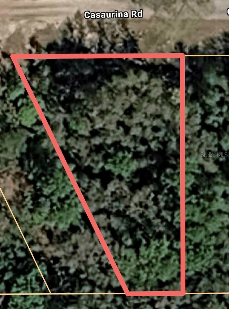Listing Details for Casaurina Road, LADY LAKE, FL 32159