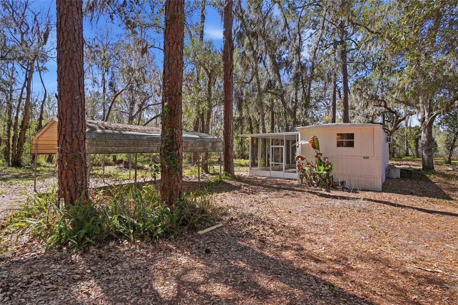 Image 41 of 46 For 13401 Palm Drive