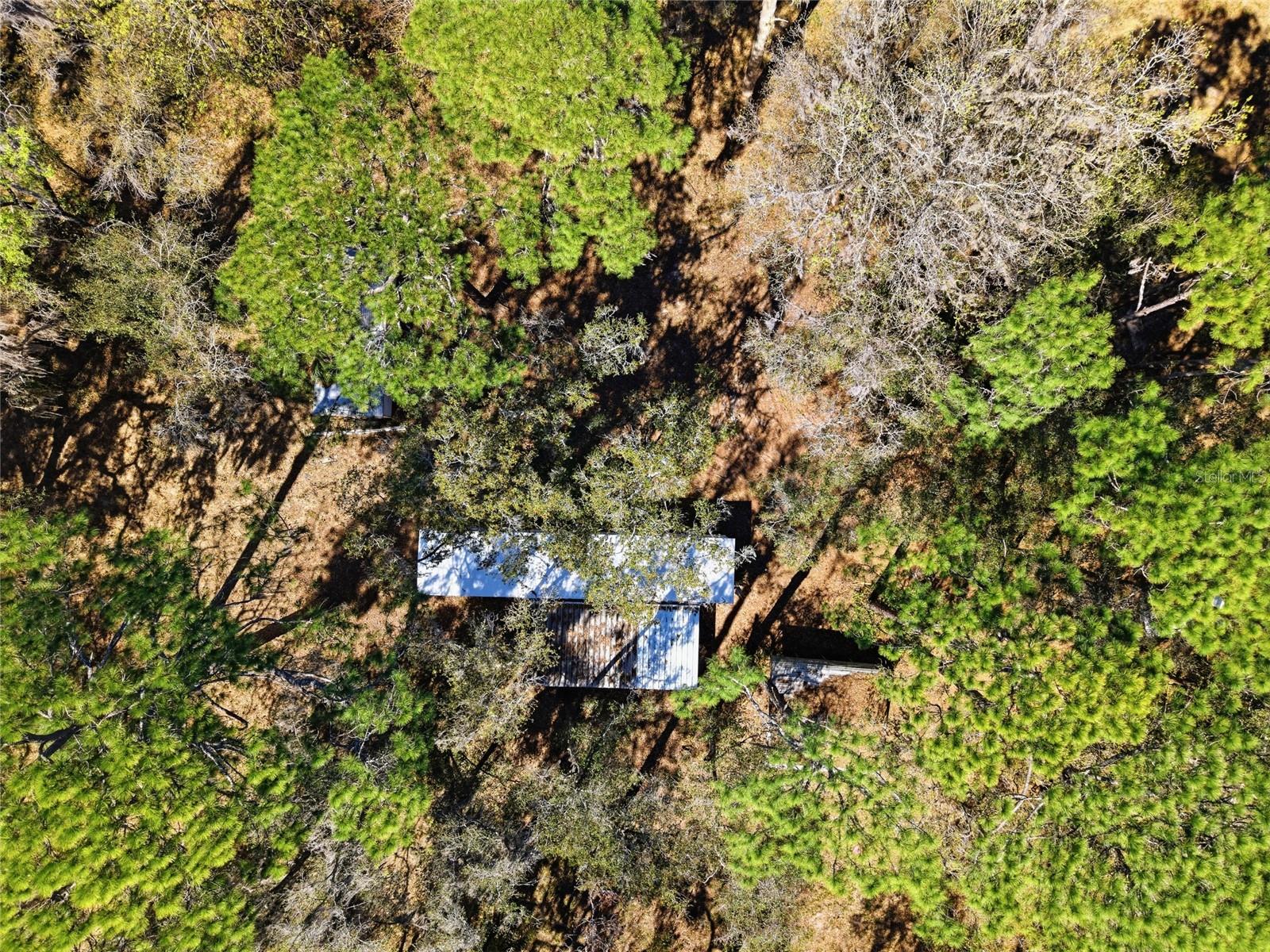 Image 44 of 46 For 13401 Palm Drive