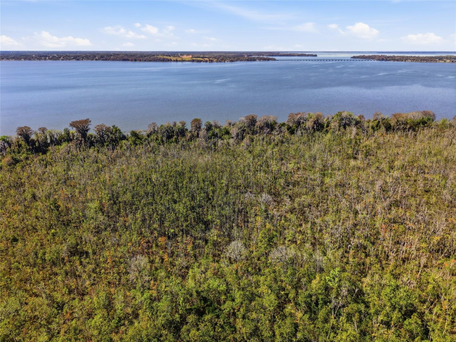 Image 45 of 46 For 13401 Palm Drive