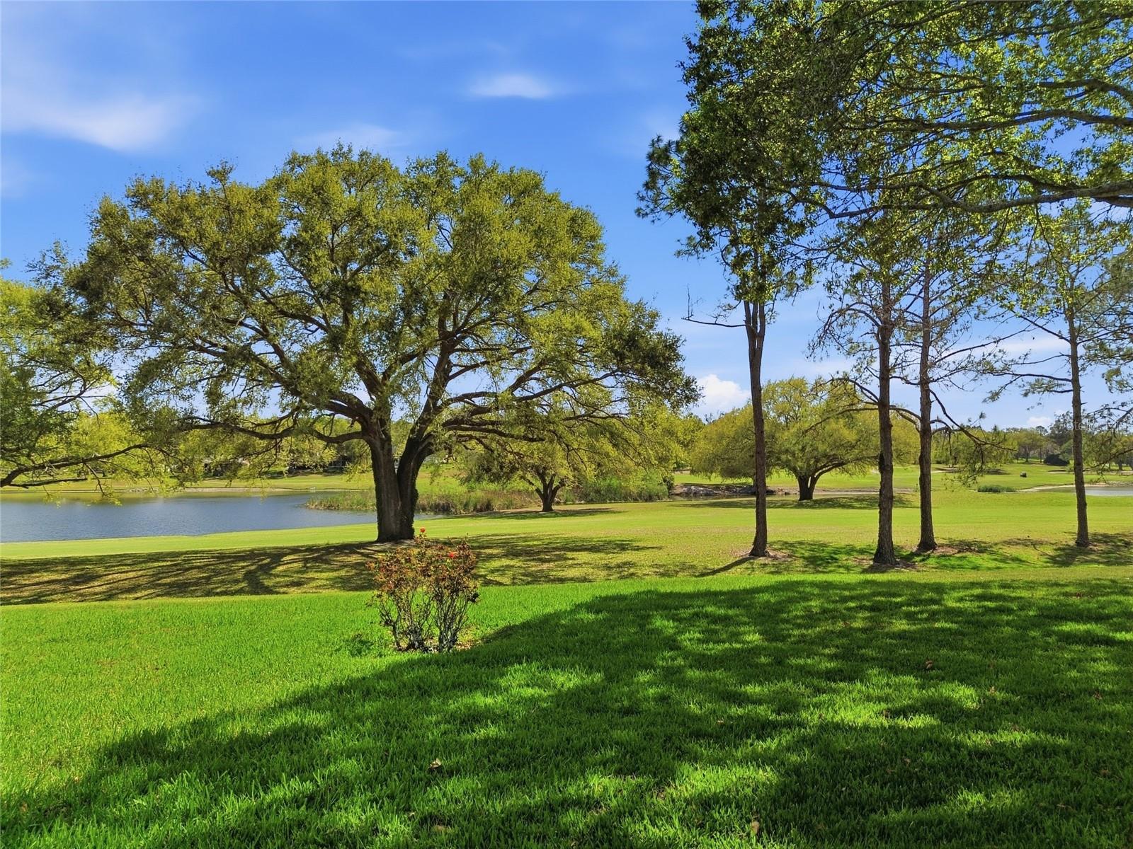 Image 40 of 54 For 15005 Green Valley Boulevard