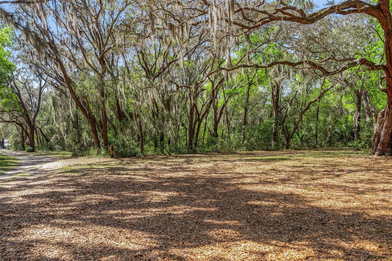 Image 4 of 61 For 2917 Lake Griffin Road