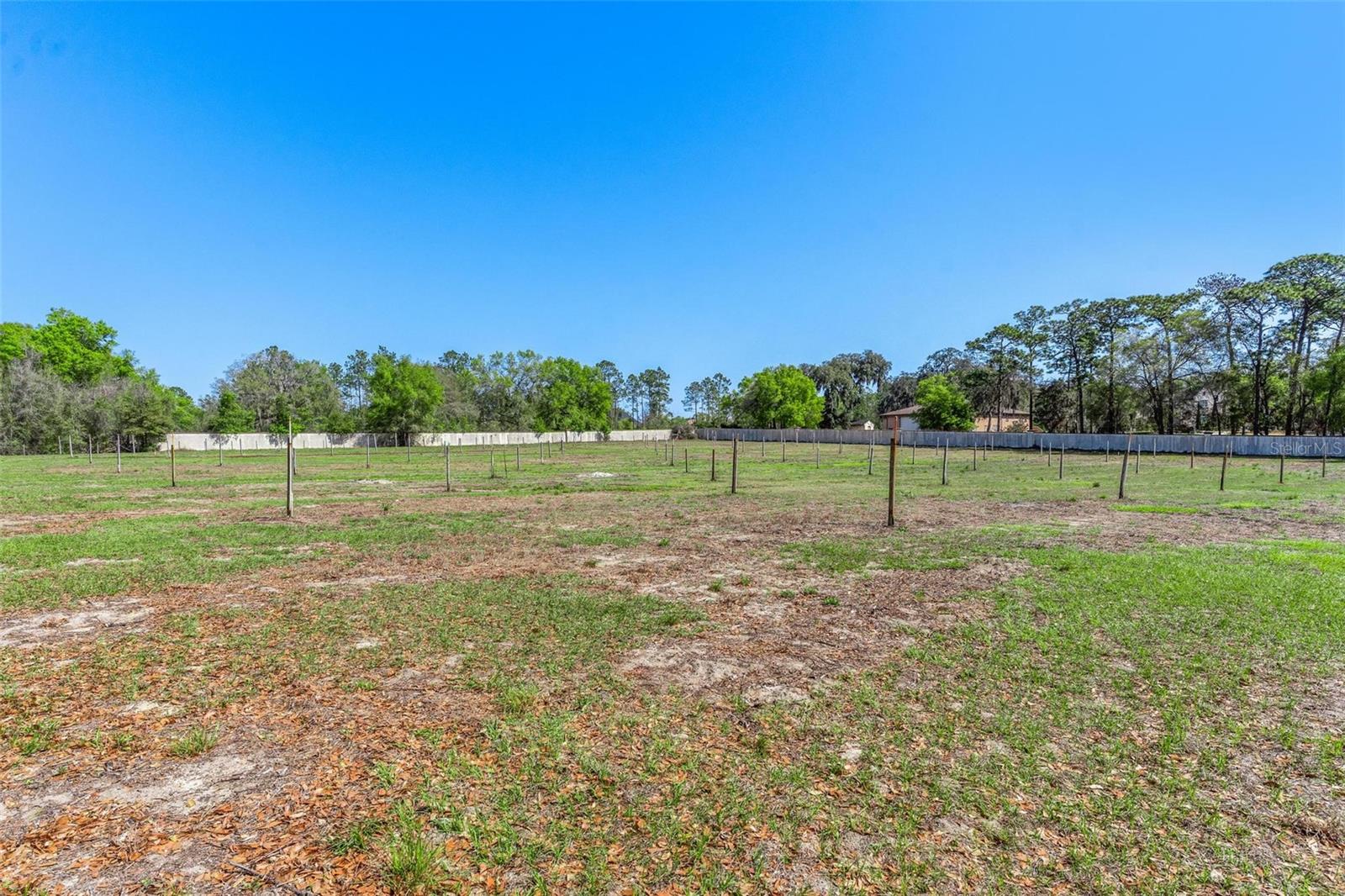 Image 52 of 61 For 2917 Lake Griffin Road