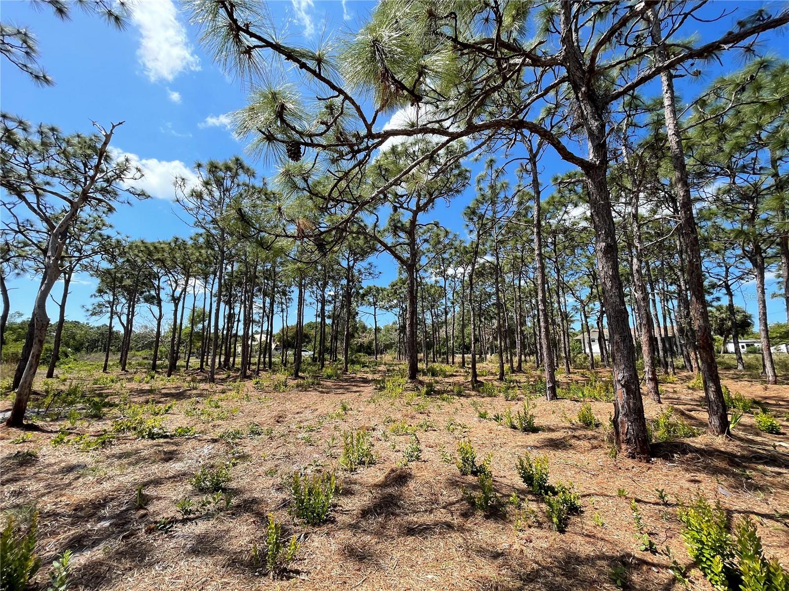 Image 2 of 6 For 6438 Fuller Drive