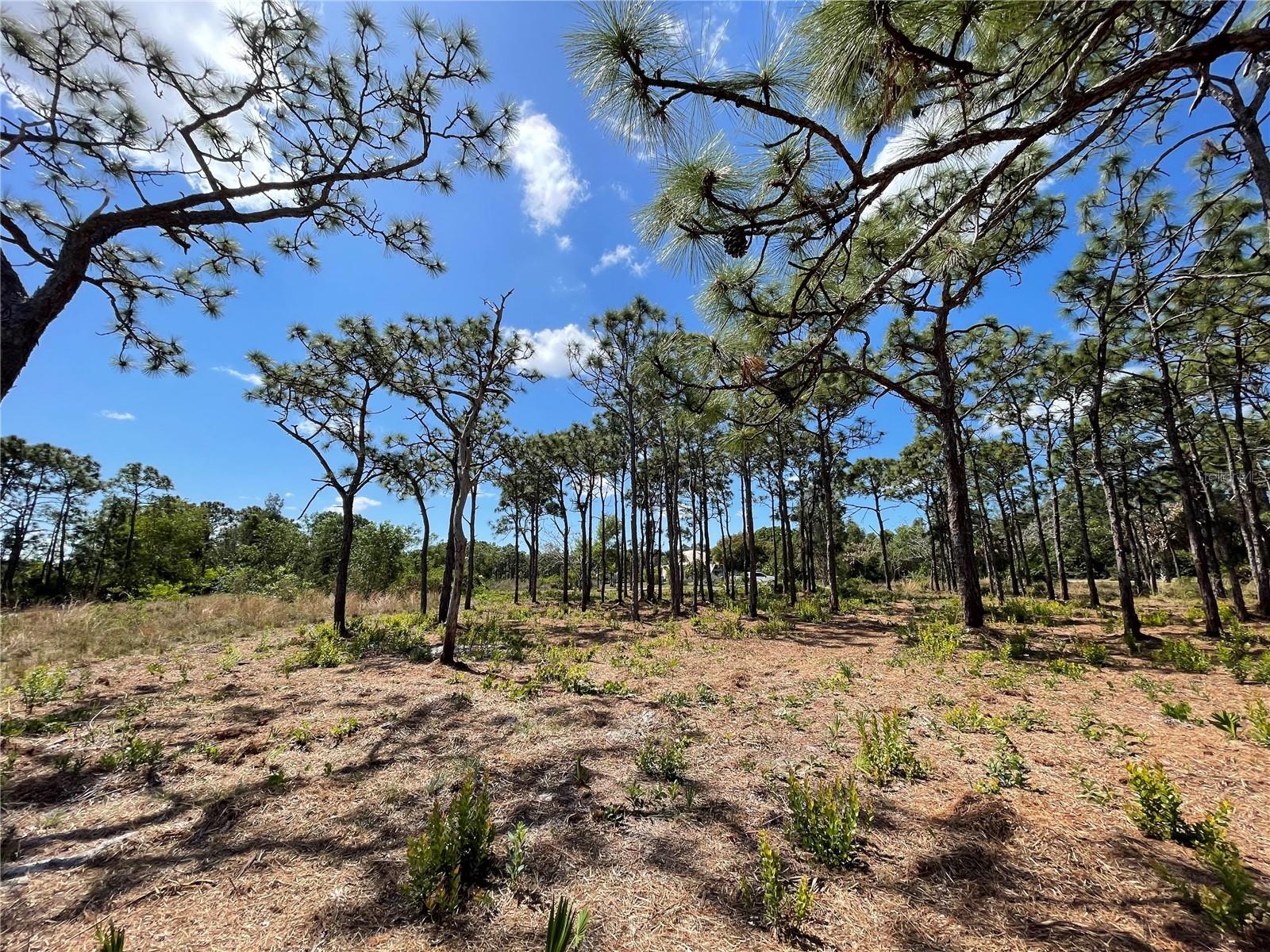 Image 4 of 6 For 6438 Fuller Drive