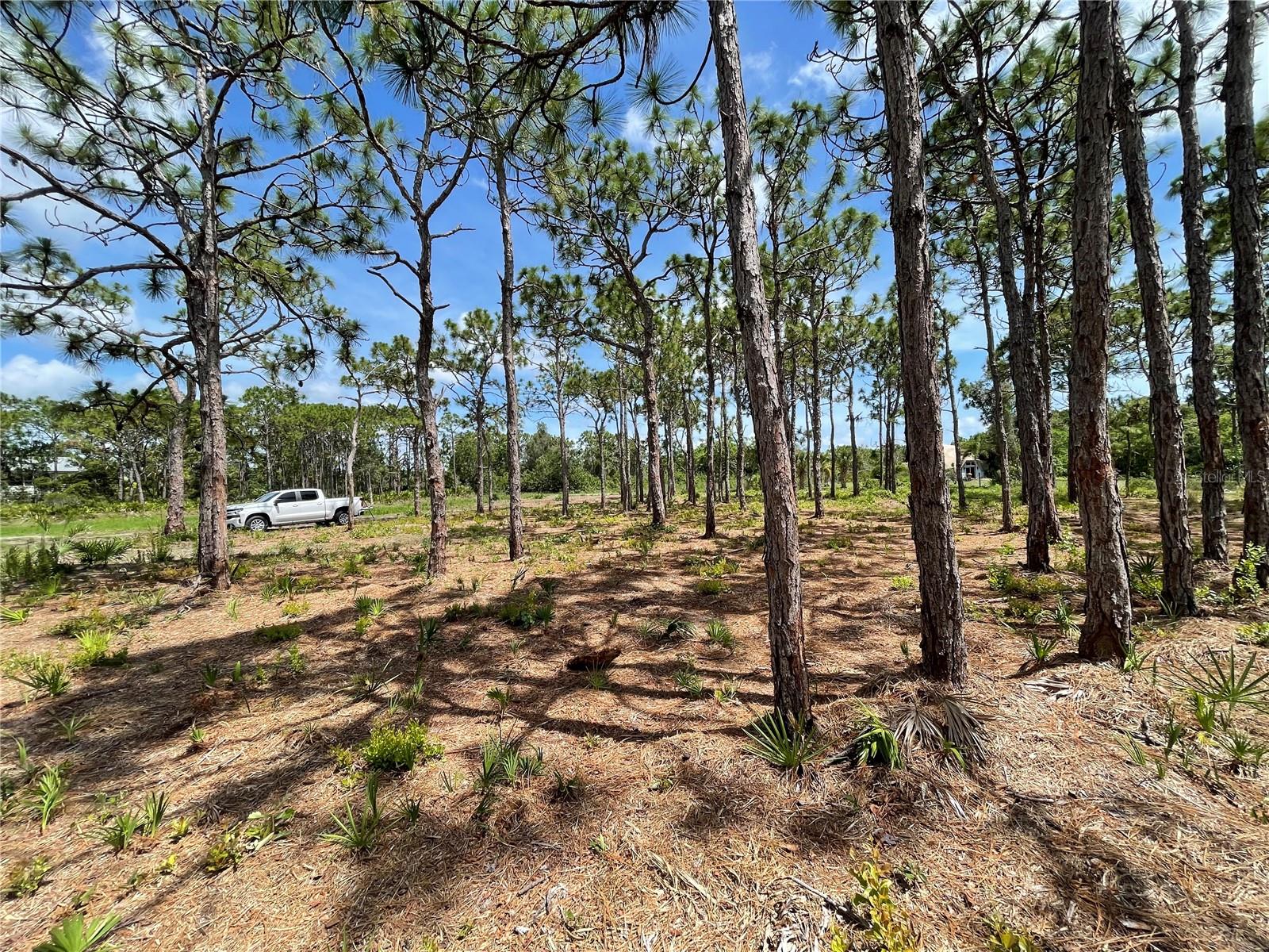 Image 6 of 6 For 6438 Fuller Drive