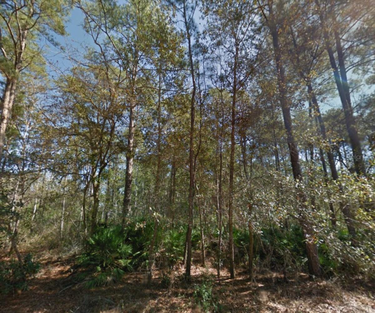 Image 8 of 11 For 112 Stack Avenue