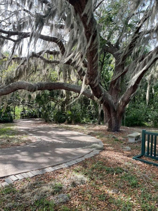 Image 38 of 40 For 26903 Honeymoon Avenue