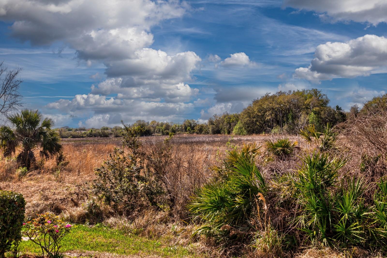 Image 23 of 28 For 27525 Discover Court