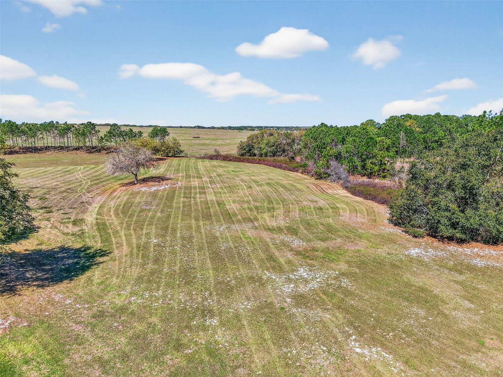 Image 5 of 73 For 5421 Sir Churchill Drive