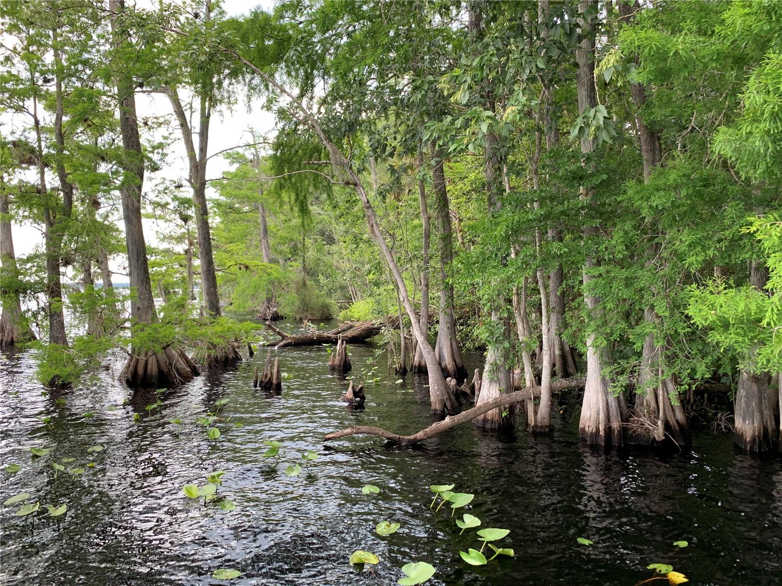 Image 57 of 57 For 30260 Thyme Avenue