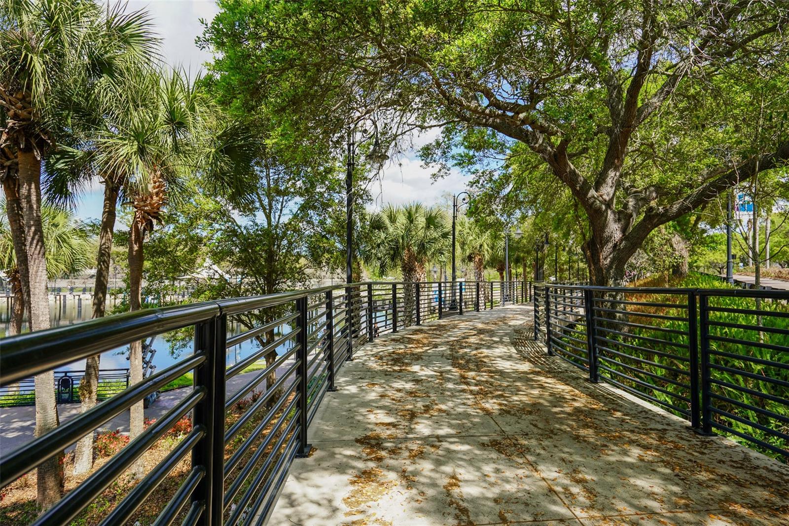 Image 36 of 53 For 248 Robin Road