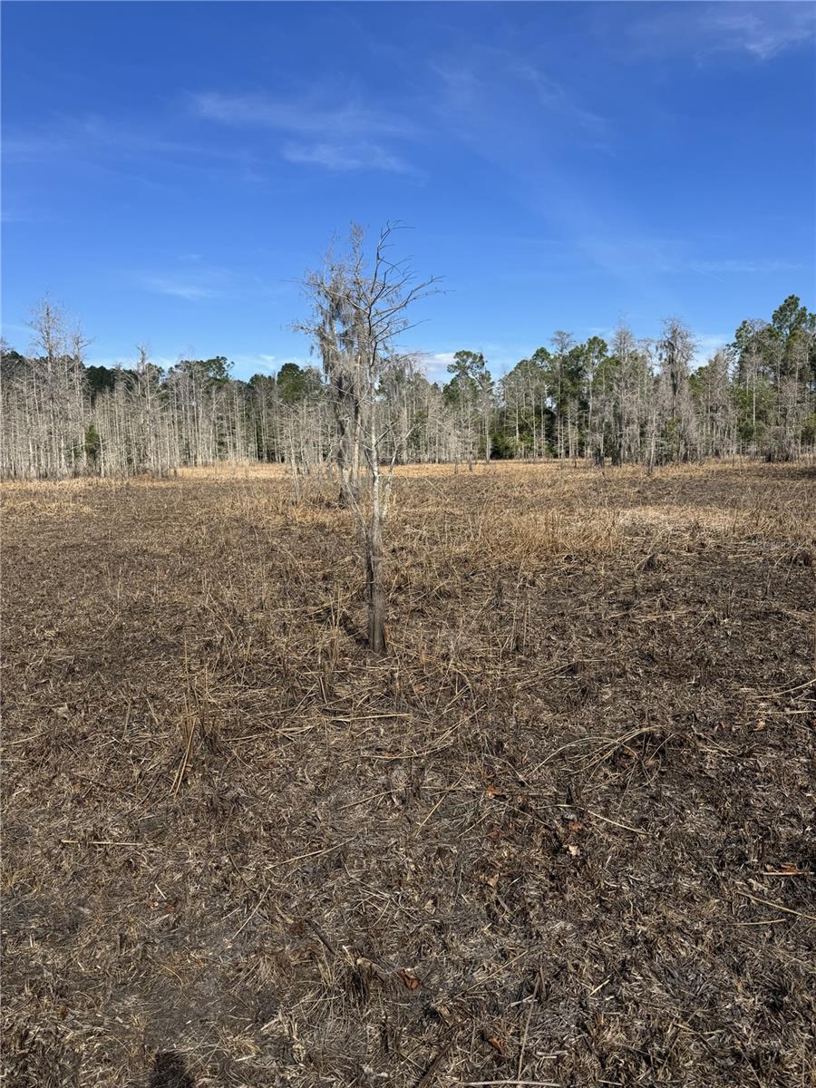 Image 13 of 13 For Address Not Provided