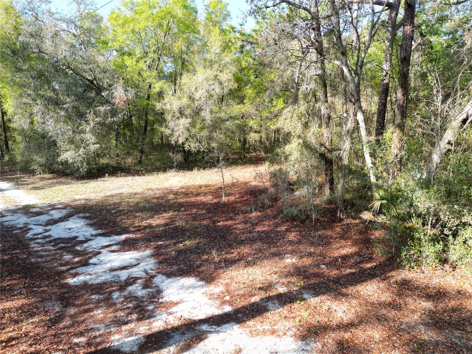 Image 3 of 7 For 0000 Hwy 25  