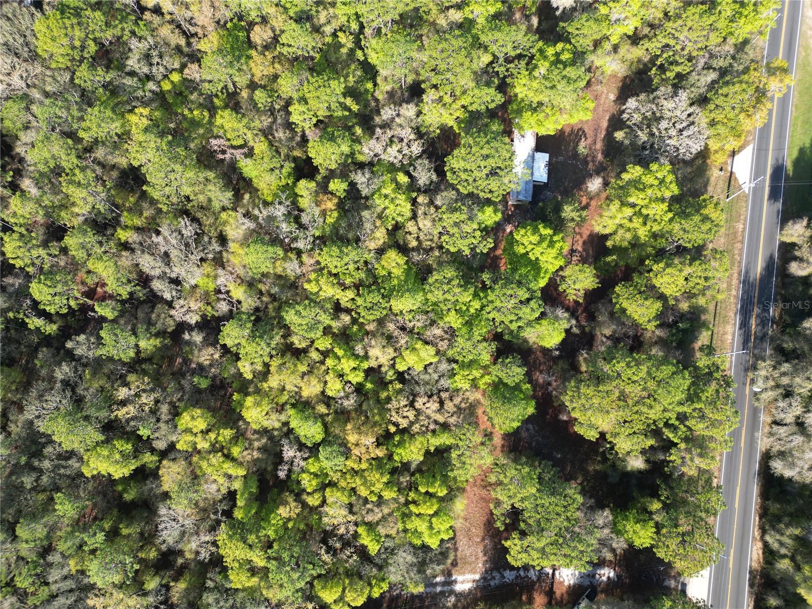 Image 4 of 7 For 0000 Hwy 25  