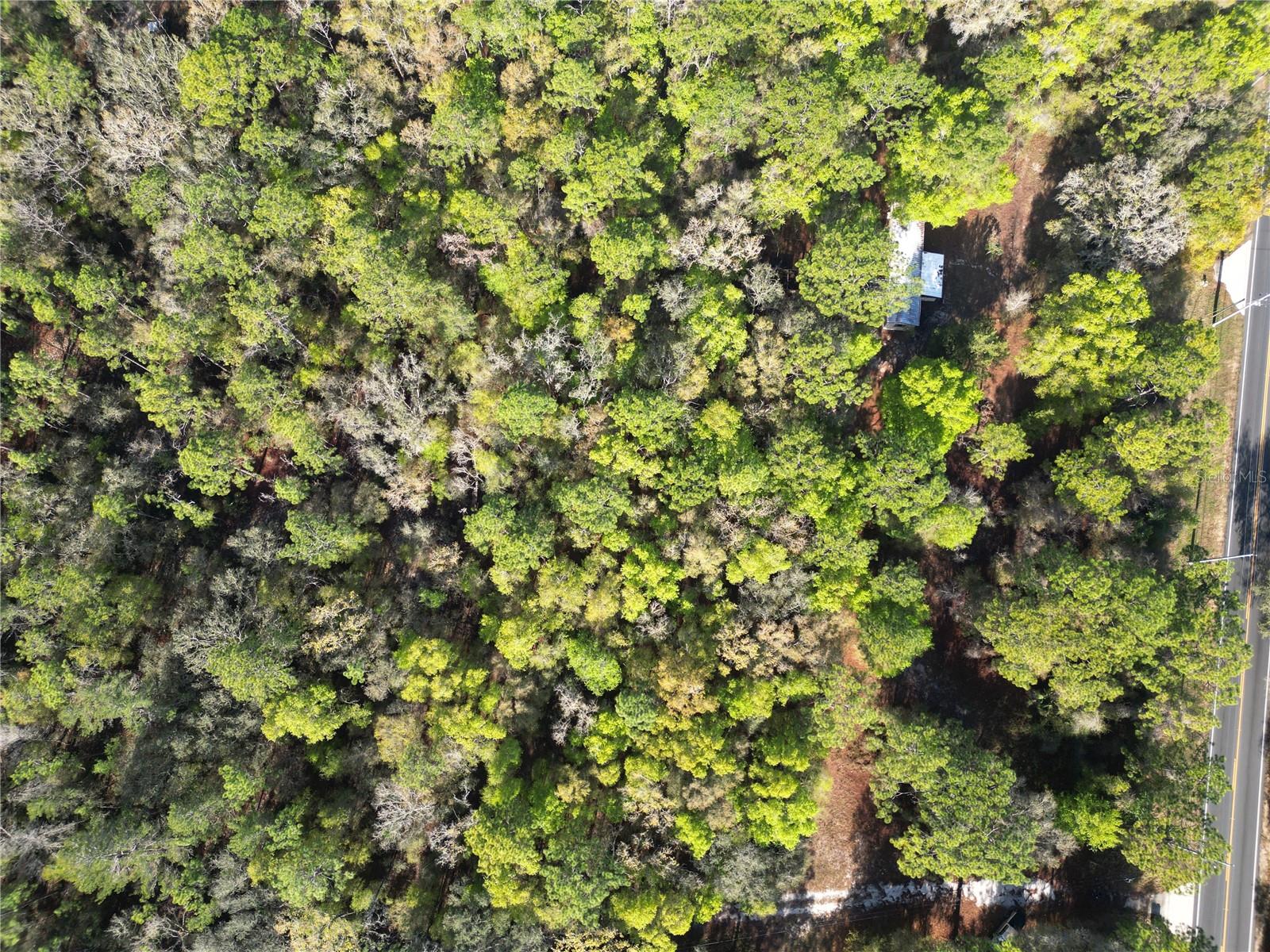 Image 5 of 7 For 0000 Hwy 25  