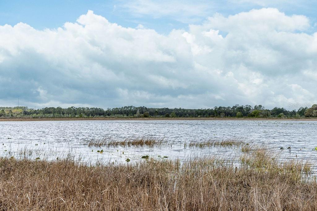 Image 16 of 64 For Forest 02 Road