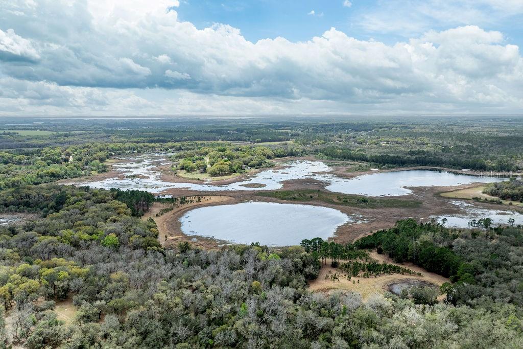 Image 19 of 64 For Forest 02 Road