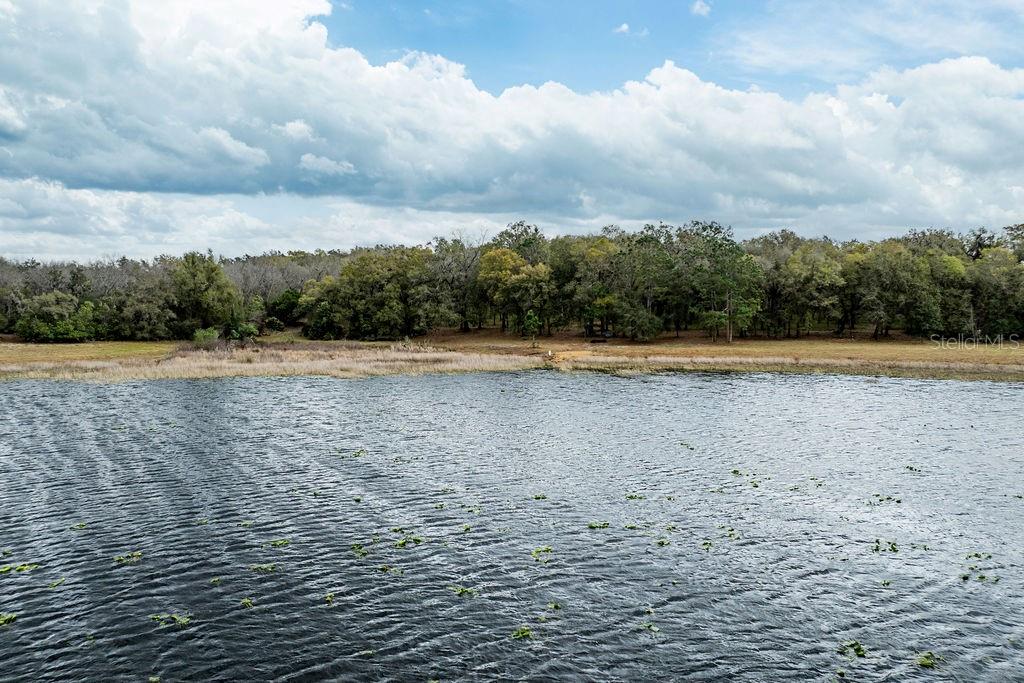 Image 2 of 64 For Forest 02 Road