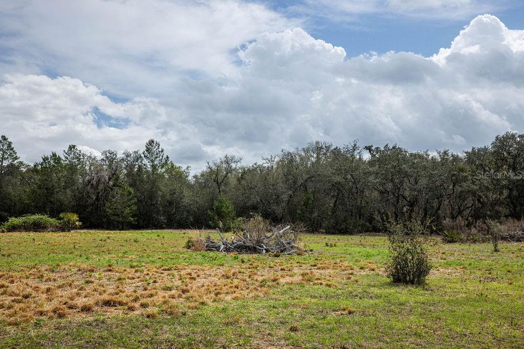 Image 29 of 64 For Forest 02 Road