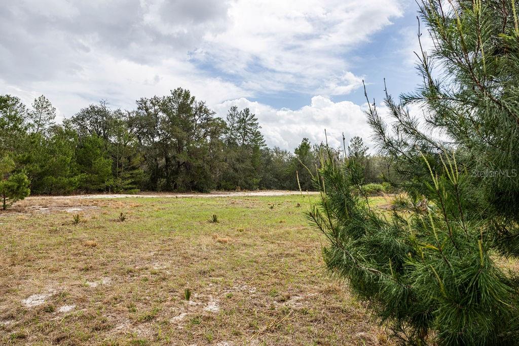 Image 34 of 64 For Forest 02 Road