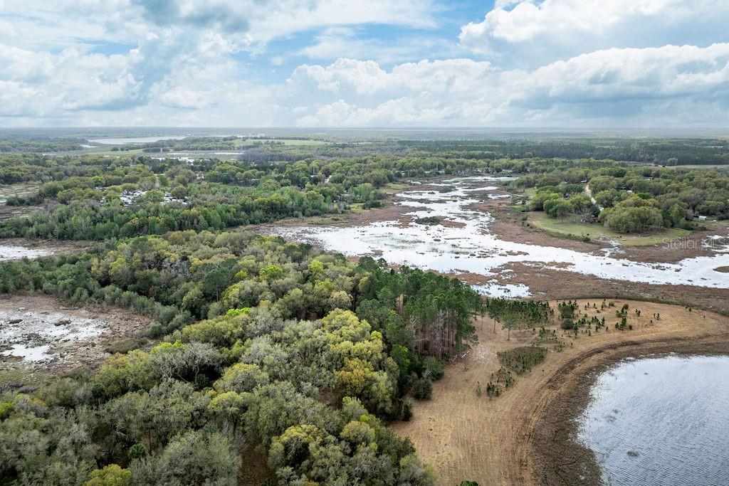 Image 44 of 64 For Forest 02 Road