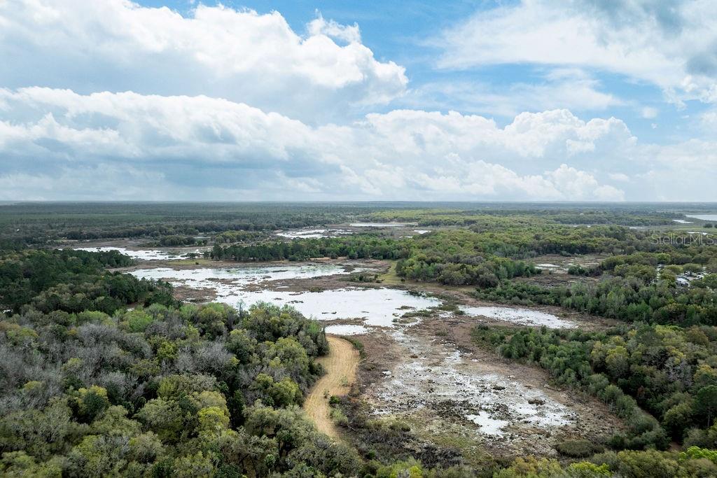 Image 45 of 64 For Forest 02 Road