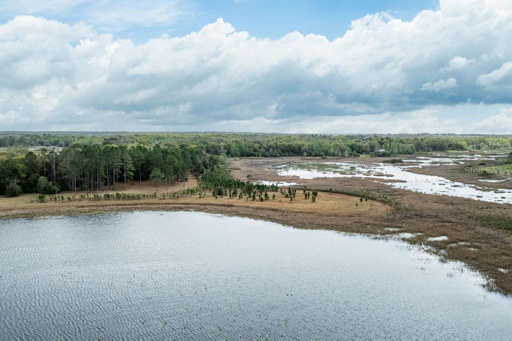 Image 46 of 64 For Forest 02 Road