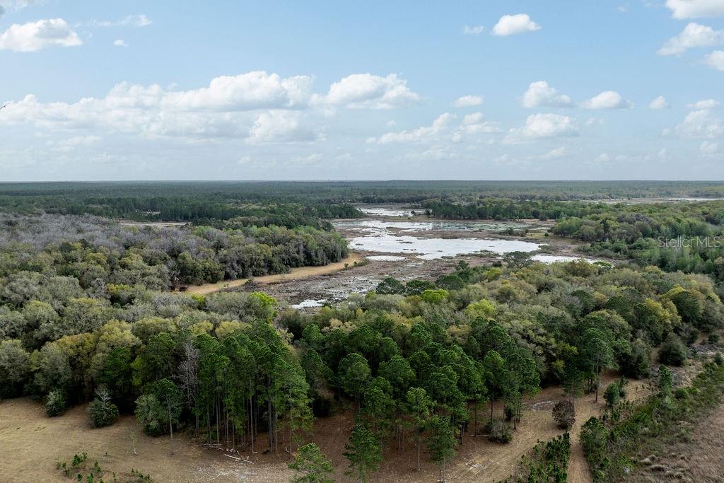 Image 47 of 64 For Forest 02 Road