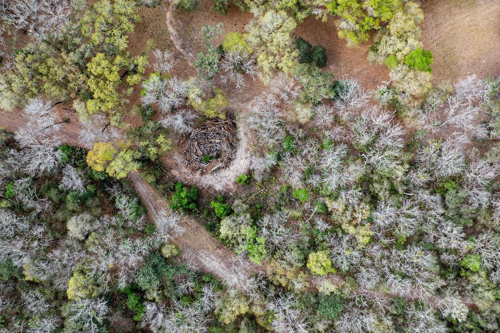 Image 48 of 64 For Forest 02 Road