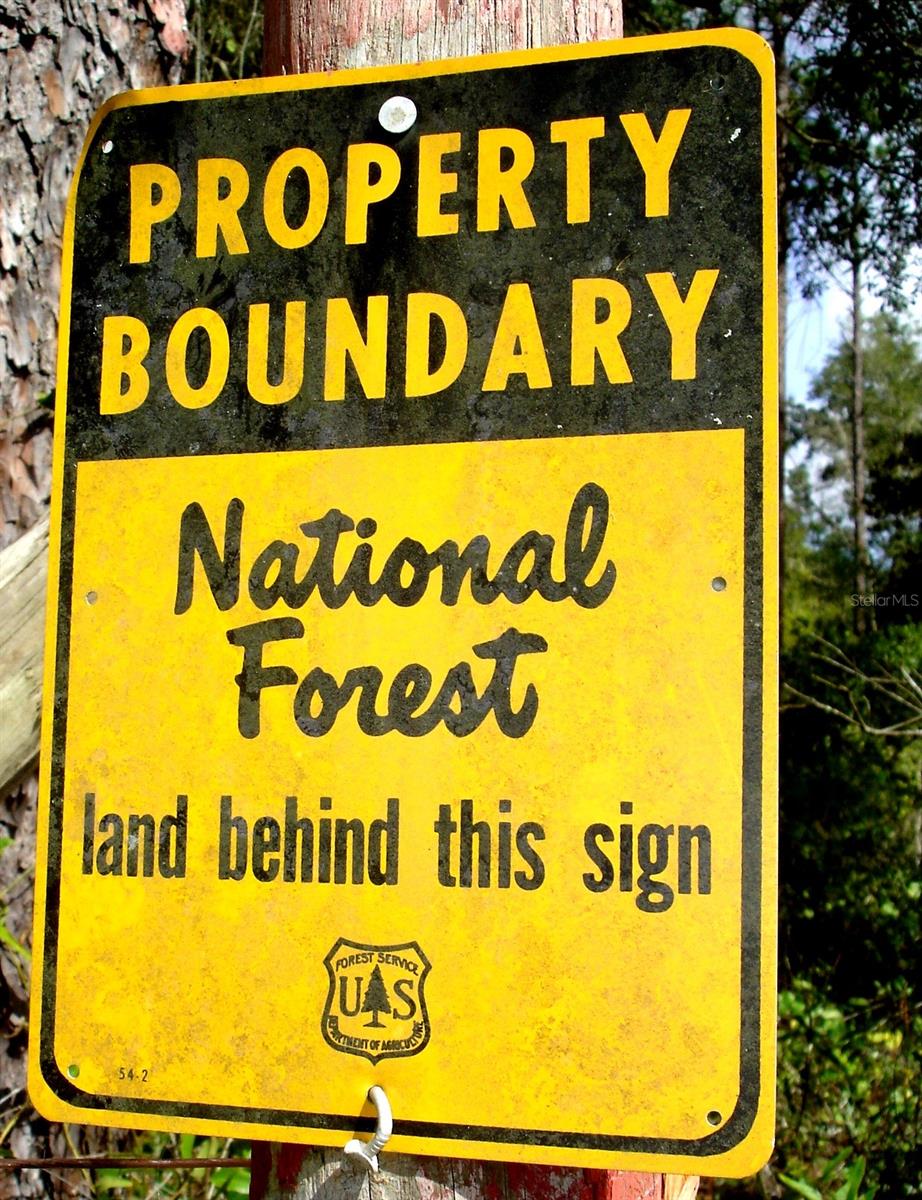 Image 5 of 64 For Forest 02 Road