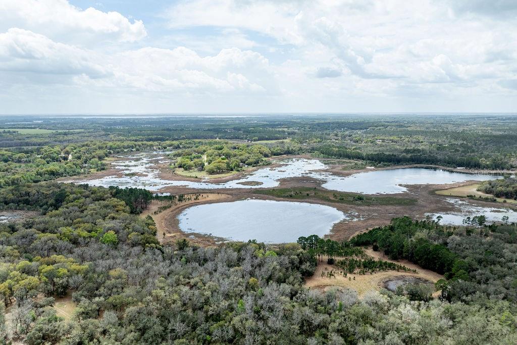 Image 58 of 64 For Forest 02 Road