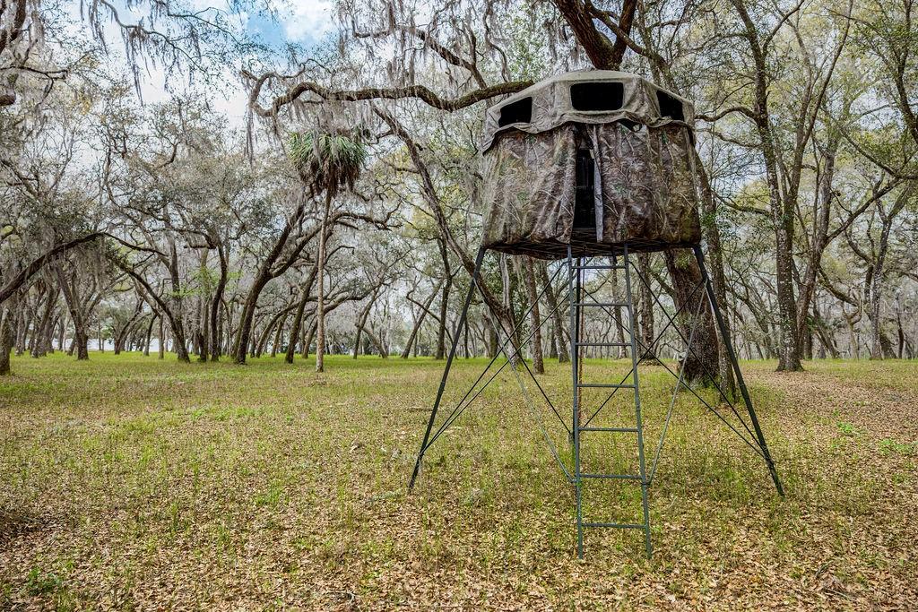 Image 60 of 64 For Forest 02 Road
